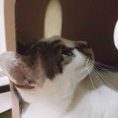 김*겸 - 미추홀구 소성로350번길 28-1 | 김*겸