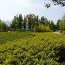 부산시민공원 이미지