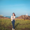 주심건축사사무소 이미지