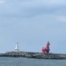 이호해변 이미지