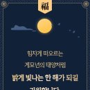 경앤디