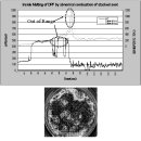 디젤 자동차 입자상물질 저감장치(DPF:Diesel Particulate Filter) 이미지