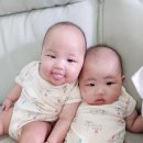 비니앙 네이버블로그