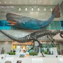 (주)아침환경공사 이미지