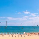 송도해수욕장 이미지