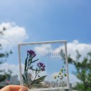 식물공예 이미지