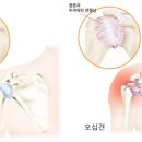 황금나무한의원 이미지