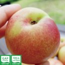 천도축산물 이미지