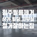 세종빌딩 | 청주.세종.오창.오송 상가/사무실/빌딩 창문 필름 시트지 완벽 철거&amp;제거