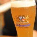 비어비바 이미지