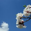 부동산뱅크신일 공인중개사사무소 이미지