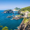 뉴성주카 이미지