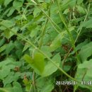 영농농장 이미지