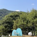 동두천 자연휴양림 어울림 신축 숙소 6인실 테라스 바베큐 이용 후기