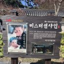 수선화사주카페