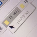 [2026 ADsP] 대학생의 독학 도전기(⌯'ᢦ'⌯) 데이터에듀 민트책 솔직 후기 및 공부법 추천