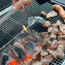 트리캠핑장 | 인천 글램핑 캠핑장 추천 영흥도 블랙트리캠핑 겨울 내돈내산 후기