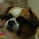 몽글 몽글 이미지