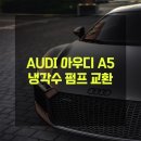 대관령모터스 이미지