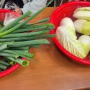 알토란사과체험마을 이미지