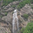 어죽전문 이미지