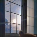 경포딩가펜션 이미지