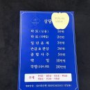 185 | [서울/성북] 성신여대사주타로 신세계사주타로 방문 후기