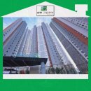 더 베스트 이미지