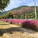 논공공단주유소 이미지