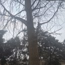 백무 | 부천점집으로 입소문난 백무신당 후기