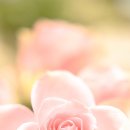 (주)정인 네이버블로그