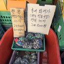 다이뜨라 - 수성구 용학로 298 | 다이뜨라