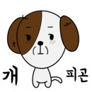 닥터캐닌 이미지