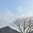 수니앤팬션 이미지