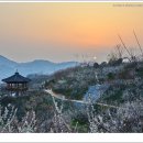 매화마을1 이미지