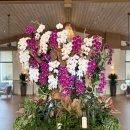 브리얀떼 이미지