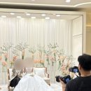 원으로부터Ⅱ | 4. 웨딩준비 커리큘럼 Ⅱ(라도무스 계약후기, 26년 상반기 견적공유 O) / 이나이스웨딩 드메 추천