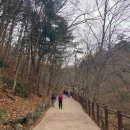 등린이 등산일지 38. 청계산