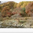 비룡민박 이미지