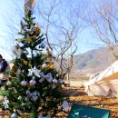 솔치송어파티 이미지