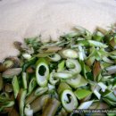 백초(여) 이미지