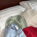 [의류] 디플리 브이넥 니트 후기👚🧶
