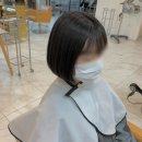헤어볼륨