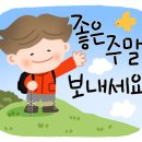 은혜꽃집 이미지
