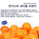 비타민C가 가득 새콤달콤 ★ 썬키스트 네이블오렌지 ★썬키스트(무료배송) 이미지