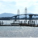 강진3호 이미지