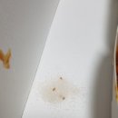 처갓집양념치킨산본점 이미지