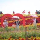 신안군청