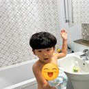 비1238 이미지