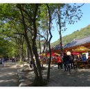 통일카정비 이미지